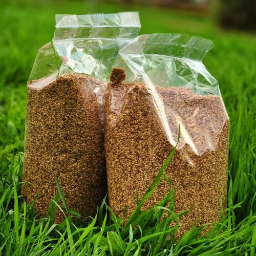 جنجلان (السمسم)